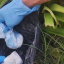 Cocaína y un arma de fuego en el jardín de infantes: el hallazgo de una empleada y el operativo de la Policía