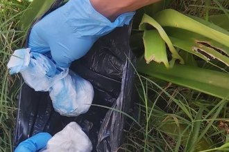 Cocaína y un arma de fuego en el jardín de infantes: el hallazgo de una empleada y el operativo de la Policía