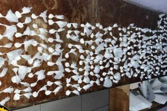 Golpe al narcomenudeo. Detuvieron a seis personas e incautaron más de 750 dosis de cocaína