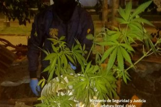Se habían llevado elementos de una embarcación. Durante los allanamientos también encontraron droga