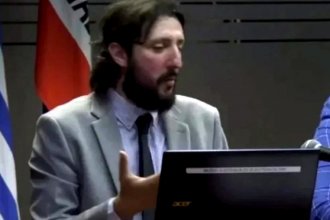 Quién es Pablo Laurta, acusado de doble asesinato y probablemente relacionado con la desaparición de Palacios