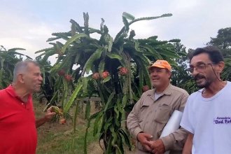 El desarrollo del “cinturón verde” se mete en la agenda, con el desafío de recuperar el esplendor de los “tiempos de Pindapoy”