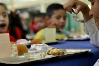 Presenta “malnutrición” el 45% de los niños entre 6 y 12 años que se atienden en los Centros de Salud de Gualeguaychú