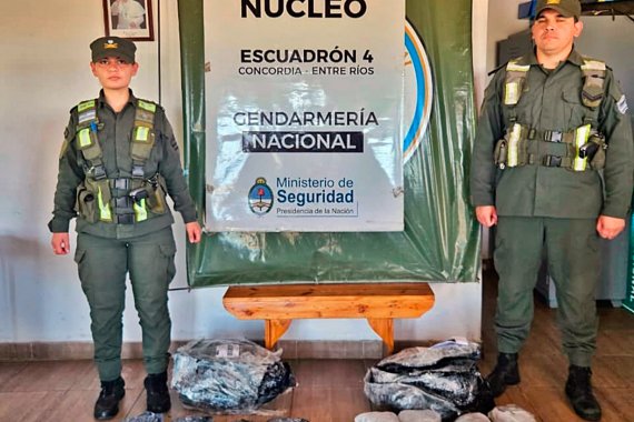 Trasladaban más de 8 kilos de marihuana desde Misiones hasta Santa Cruz. Gendarmería lo interceptó en Concordia