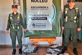 Trasladaban más de 8 kilos de marihuana desde Misiones hasta Santa Cruz. Gendarmería lo interceptó en Concordia