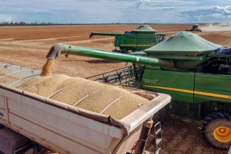 Las retenciones les quitan casi 100 millones de dólares anuales a los agricultores entrerrianos