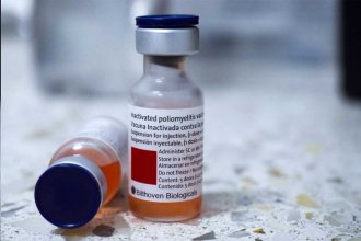 “Mientras el virus siga circulando en alguna región del mundo, todos los países continúan en riesgo”, advierten sobre la polio