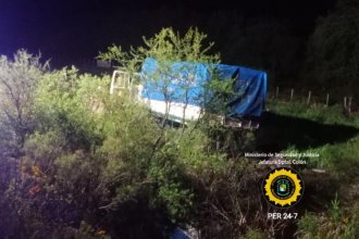 Perdió el control del camión al esquivar un animal y terminó entre la vegetación: dos lesionados