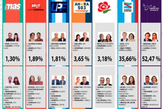ALLA consiguió casi 400 mil votos para la categoría Senadores en Entre Ríos