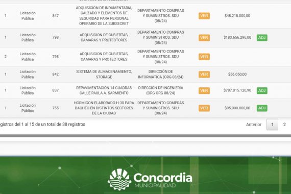 Portal de transparencia. Vuelven a verse los botones verdes que informan sobre las adjudicaciones. La explicación oficial