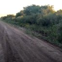 Restos hallados: la fiscal Montangie contó por qué podría tratarse de las partes del cuerpo de Palacio que buscaban