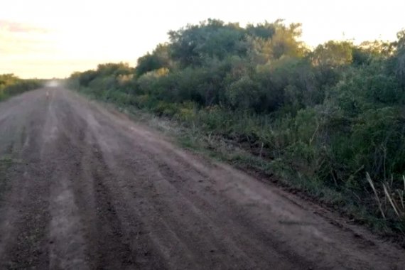 Restos hallados: la fiscal Montangie contó por qué podría tratarse de las partes del cuerpo de Palacio que buscaban