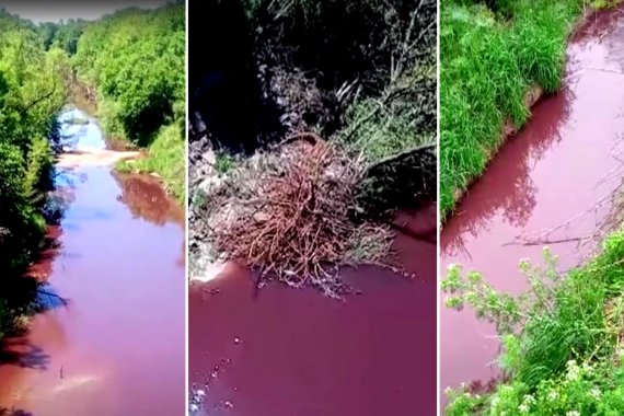 Presentaron una denuncia penal por contaminación en la cuenca del río Paraná