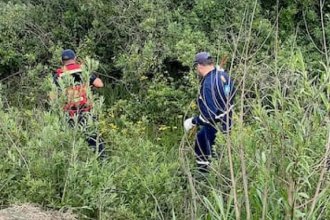 Macabro hallazgo en Tala: encontraron más restos óseos e investigan si podrían ser del chofer Martín Palacios