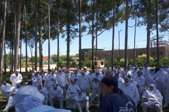 Incertidumbre en Granja Tres Arroyos. “Atrasos” e “incumplimientos” en los sueldos motivan una denuncia gremial