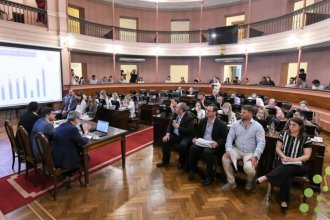 Presupuesto 2026. Tras las exposiciones de los ministros Berisso y Boleas, hubo dictamen en Diputados