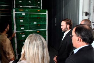De Entre Ríos a Ecuador: exportan 21 palets de citrus que recibieron tratamiento de frío