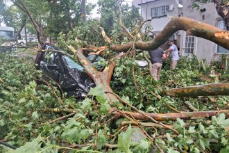 Luego de la tormenta, dos móviles de Bomberos recorren la ciudad. Personal del municipio remueve ramas y cables