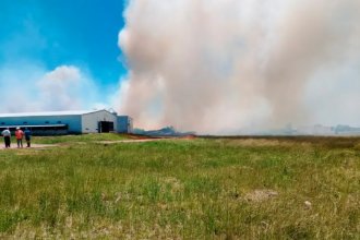 Incendio destruyó un galpón avícola en el norte entrerriano: había 38000 pollos