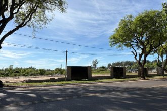 Avanza una obra sobre un humedal de Concordia: ¿quién la hace, con qué permiso y para qué?