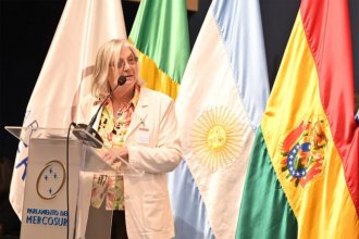 “Acá hay tarea para evitar un conflicto”: el pedido de relocalización de la refinería fue tema durante la sesión del Parlasur