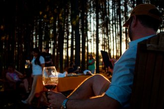En el día nacional del vino, el saludo del cofundador de uno elaborado en Entre Ríos