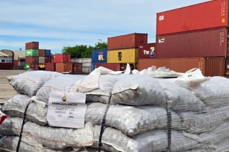 Socio estratégico de Cluster del Pecán concreta la primera exportación de nuez argentina a China