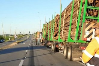 Uruguay. Medida de fuerza del Sindicato de Camioneros afecta la operativa en UPM