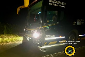 En plena madrugada, colectivo con 57 pasajeros a bordo embistió un animal en la autovía