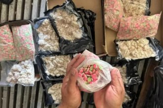 En la RN14, incautaron 8 kilos de metanfetaminas que transportaban como encomienda