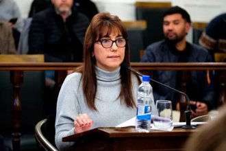 Reforma previsional. &ldquo;Me dicen traidora, pero no voy a votar nada que perjudique a los trabajadores ni a los jubilados&rdquo;, se defendió Domínguez
