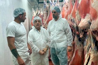 De Concordia y Gualeguay exportarán carne ovina hacia mercados árabes