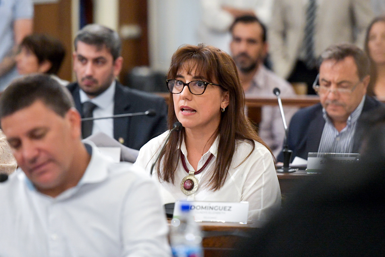 Nos quieren sancionar por debatir, respondió la senadora Domínguez al pedido de expulsión del PJ - Noticias - Elentrerios.com