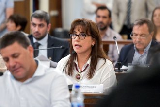 &ldquo;Nos quieren sancionar por debatir&rdquo;, respondió la senadora Domínguez al pedido de expulsión del PJ