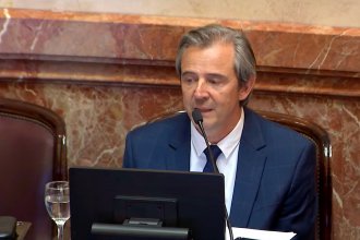 Un hijo de Bahl pide que lo reincorporen a la Legislatura, el pago de salarios y una indemnización