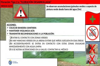 Salto inhabilitó playas del lago tras detectar &ldquo;floración desarrollada&rdquo; de algas