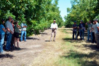 La productividad de los montes será el eje central de las Jornada del Cluster 2026