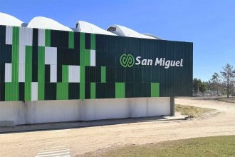 Deuda. Citrícola San Miguel apuesta a reestructurar 110,6 millones de dólares. Tiene inversiones en la costa del río Uruguay