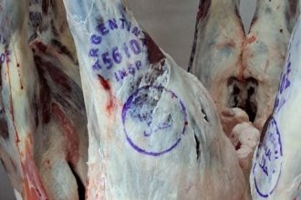 Hito para la producción entrerriana: se reanudan las exportaciones de carne ovina a Medio Oriente tras dos décadas