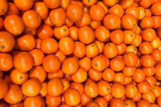 Argentina acordó con Japón mejoras en las condiciones para la exportación de cítricos