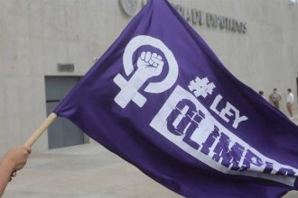 Entre Ríos promulgó la adhesión a la Ley Olimpia. La Justicia podrá suprimir contenidos de redes sociales para proteger a víctimas