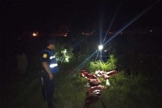 Desbaratan banda dedicada al robo de ganado: los sorprendieron en plena &ldquo;faena&rdquo;. Hay dos detenidos y un prófugo