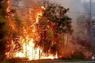 En medio de la ola de calor, no menos de 6 incendios en 10 horas