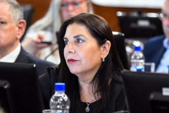 Salud mental: Lena cargó contra el peronismo y aseguró que &ldquo;durante décadas miraron para otro lado&rdquo;