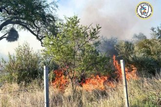 Bomberos de varios cuarteles intentan sofocar un incendio de monte nativo. Recuerdan la prohibición de quemar