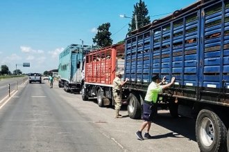 Detectaron infracción grave en dos transportes de hacienda que pusieron en riesgo el estatus sanitario