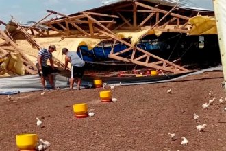 Temporal de viento con alcance geográfico limitado destruyó un galpón de pollos en pocos minutos