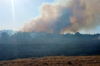 Incendio forestal generó preocupación al avanzar hasta el predio de un cementerio privado