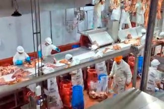 Informe revela que los argentinos consumen 5 kilos menos de carne vacuna y 1,5 kilos más de cerdo que hace un año