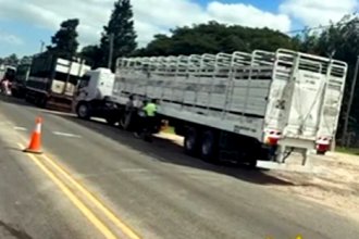 Por presencia de garrapatas, retuvieron cuatro camiones con más de 230 vacas